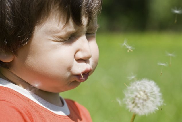 https://www.asthma.ie/sites/default/files/styles/building_block_image/public/images/paragraphs/image/2018/May/WAD%20Homepage%20Boy%20Dandelion.jpg?itok=r5QDvuUp