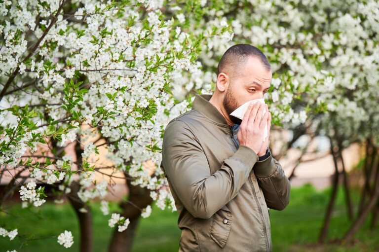 Hay fever image