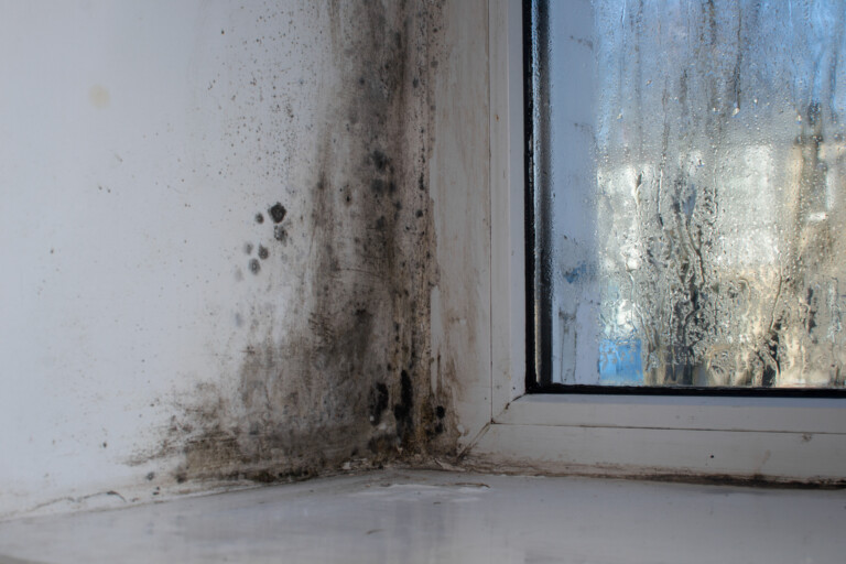 Housing rights for people with asthma image